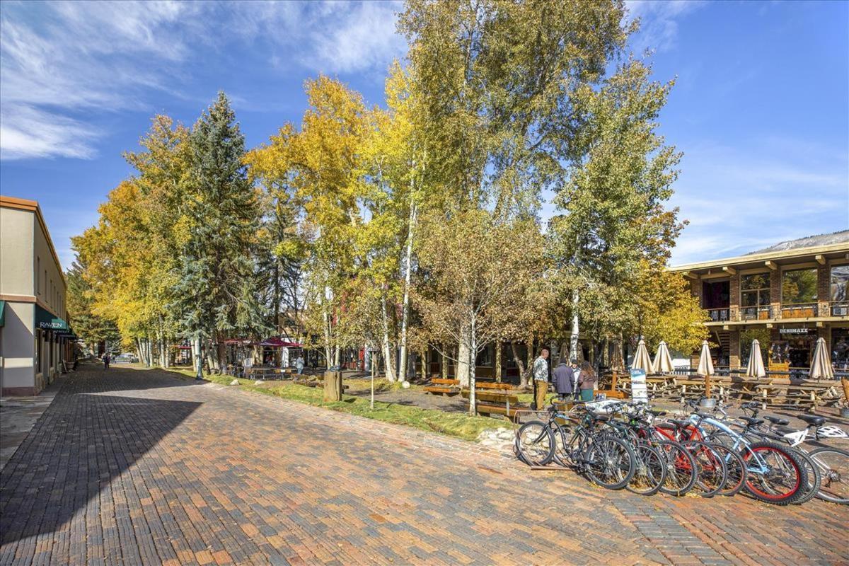 Holiday home Affordable In The Heart Of Downtown Aspen